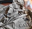 骆驼（CAMEL）户外露营黑胶天幕帐篷遮阳便携式防晒野营野餐大凉棚1V32264416-2 实拍图