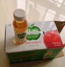 绿杰绿杰鲜汁发酵型苹果醋饮料280ml*6瓶装0蔗糖0脂肪健康饮料 实拍图