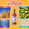 泰山啤酒泰山原浆啤酒28天鲜9度倒标全麦芽酿造啤酒整箱450ml*6瓶 28天两箱装 450mL 实拍图
