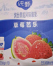 蒙牛纯甄缤纷果粒丹东草莓芭乐味风味酸牛乳利乐冠200g×10瓶 送礼盒装 实拍图
