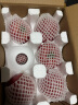 京鲜生陕西普罗旺斯西红柿 净重4.5斤 单果100g+ 沙瓢番茄源头直发  实拍图