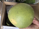 京鲜生 泰国青柚 青皮白心蜜柚 巨大果4粒礼盒 单果1000g+ 源头直发包邮 实拍图