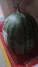 吊秧小西瓜 约1.5kg 晒单实拍图