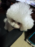 麦富迪狗粮 超肉粒冻干双拼粮1.5kg 成犬小型犬（牛肉蓝莓磷虾）泰迪 实拍图