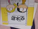 石头与鸟儿  实拍图