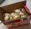 港荣蒸蛋糕奶香900g小面包早餐零食饼干嫩鸡蛋西式糕点纯蛋糕甜品礼品 实拍图