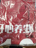 KELME/卡尔美足球服对抗训练背心团购健身组队服分队服针织无袖T恤 红白(XL)码 实拍图