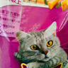 伟嘉（whiskas）猫粮 宠物成猫粮海洋鱼味300g单包尝鲜装 实拍图