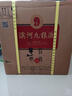 滨河九粮液53度白酒 甘肃名酒九粮香型纯粮酒 高端商务接待白酒 53度 500mL 4瓶 【整箱装】 实拍图