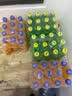 可口可乐（Coca-Cola）迷你可乐汽水碳酸饮料瓶装小瓶 新老包装随机发货 300mL24瓶有糖雪碧12芬达12 实拍图