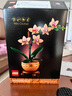 乐高（LEGO)积木ICONS系列10343典雅兰儿童成人拼插积木玩具礼物 实拍图