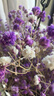 爱满（AIMAN）满天星天然干花花束ins网红生日 新房装饰摆件风干真插花家居摆设 紫色满天星  【不带花瓶】 实拍图