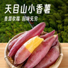 京鲜生临安天目山小香薯5斤 单果50-150g 香甜软糯皮薄无筋 源头直发 实拍图