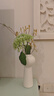 木丁丁陶瓷艺术花瓶欧式简约风插花器创意家居装饰品现代高级感生日礼物 实拍图