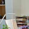 无印良品（MUJI） 聚丙烯立式文件盒 桌面收纳盒书立 NC0Q4A2S 长10×宽27.6×高31.8cm 实拍图