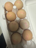 黄天鹅可生食鸡蛋 4枚/单枚53g礼盒装 生鲜鸡蛋早餐源头直发 无抗生素 实拍图