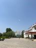 TaTanice风筝户外玩具微风易飞成人大型潍坊草原风筝线轮六一儿童节礼物 实拍图