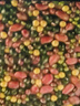 十月稻田 豆浆豆 2斤 打豆浆 豆浆原料 黄豆 黑豆 红豆 红花生米 杂粮 实拍图