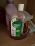 滴露（Dettol）消毒液灭活流感冠状病毒消毒水除菌1.8L*2洗衣家居宠物除螨杀菌 实拍图