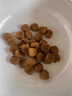 皇家猫粮 英短成猫粮 BS34 通用粮 12月以上 2KG 实拍图