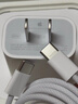 图拉斯小冰块Lite【3C认证丨100%好评】苹果充电器iphone17充电头适配原装45W快充套装氮化镓16手机15线 【30W冰透粉】单头丨苹果全系 【26年全新升级】快充不伤机丨新机动态功率 实拍图