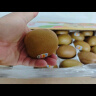 佳沛（zespri）新西兰金果 16粒巨无霸原箱猕猴桃 单果202-230g 端午节水果礼盒 实拍图
