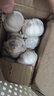 紫白皮蒜水果大蒜超市即食生鲜蔬菜大蒜 特价带箱 1斤 单果3.5-5cm 实拍图