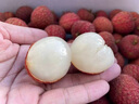 荔枝新鲜包邮桂味5斤水果广东当季荔枝白整箱西糖罂10斤顺丰 5斤 【实惠装】顺丰单果约15-20g 实拍图