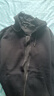 真维斯（JEANSWEST）卫衣男女连帽2025春秋款日系拉链开衫外套宽松运动外套重磅连帽衫 黑色 XL (推荐125斤-150斤左右) 实拍图