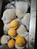 春福乐 山东蒙阴黄桃【多地次日达】新鲜水果金桃子脆蜜毛油送礼品物盒 【5A精选果】单果100g+ 5斤装【老树果-80%选择】净4.5斤 实拍图