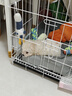 憨憨宠 狗笼猫笼 狗笼子小型犬带厕所幼犬折叠便携猫笼子宠物笼具兔笼 白色 前出盘狗丝笼 70*50*60cm 实拍图