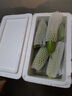 低卡早餐奶油黄瓜减脂夏季零食白玉水果黄瓜脆甜可口生鲜蔬菜 试吃款 12根左右 泡沫箱发货 3斤 实拍图