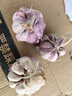 云南紫皮干蒜红皮香蒜农家自种又香又辣可以吃，但种植先咨询客服 5斤特大果（直径50mm以上） 云南紫皮干蒜红皮香蒜又香又辣可以吃，种植先咨询客服 实拍图