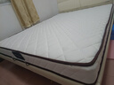 海马飞雪床垫席梦思天然椰棕乳胶独立弹簧床垫酒店厚薄双人家用榻榻米垫子 15cm双面款(乳胶+独立弹簧+椰棕) 1.5x2米 实拍图
