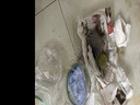 多肉植物仙人掌盆栽室内肉肉仙人球小盆栽开花可爱桌面绿植 金冠+玻璃盆+黄金砂+营养土 含盆 晒单实拍图