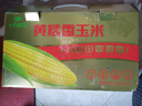 十月稻田 黄糯香玉米 3.52斤(220g*8根) 东北黏甜玉米棒 早餐 杂粮礼盒 实拍图
