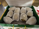 佳沛（zespri）新西兰  阳光金奇异果10粒礼盒巨大果单果约144-175g 水果 猕猴桃 实拍图
