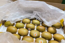 佳沛（zespri）新西兰  阳光金奇异果25-27粒原箱特大果单果约122-146g  猕猴桃 实拍图