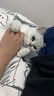 欢宠网猫玩具猫咪逗猫棒猫薄荷磨牙棒自嗨解闷神器磨牙猫猫小猫幼猫宠物 实拍图