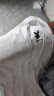花花公子（PLAYBOY）短袖T恤男夏季男士上衣服男装潮流宽松纯色纯棉打底衫 白色 XL  实拍图