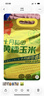 十月稻田 黄糯玉米 3.52斤(220g*8根) 25年新玉米 低脂 早餐零食 东北玉米 实拍图