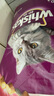 伟嘉成猫猫粮 夹心粮10kg牛肉味全价猫粮 亮毛均衡营养布偶蓝猫猫粮 实拍图