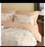 LOVO罗莱家纺 全棉四件套纯棉被套床单双人床上用品200*230cm米色 实拍图