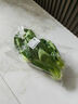 上海青500g(油菜) 实拍图