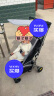 海氏海诺一次性使用儿童口罩3D立体卡通小孩防尘防花粉独立包装50只 0-3岁 实拍图