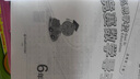 高思学校竞赛六年级套装（导引+课本）（全三册）新概念奥林匹克数学丛书 实拍图
