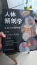 人体解剖学 实拍图