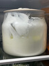 小熊（Bear）酸奶机 家用全自动希腊酸奶奶酪米酒机酸奶发酵菌玻璃内胆陶瓷分杯 SNJ-C10V3 实拍图