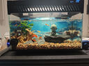 森森鱼缸增氧泵水族箱氧气泵LQE-100家用小型充氧泵4W单孔+全套配件 实拍图