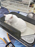 汪野君猫砂盆顶入半封闭猫厕防外溅幼猫成猫猫屎盆猫沙盆带猫砂铲大号 实拍图